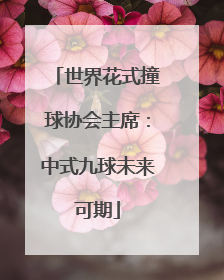 世界花式撞球协会主席：中式九球未来可期