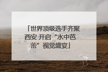 世界顶级选手齐聚西安 开启“水中芭蕾”视觉盛宴