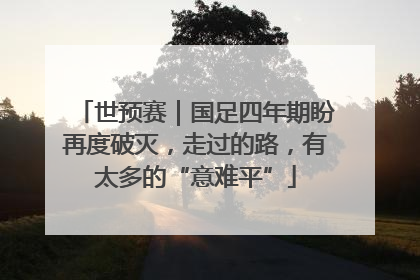 世预赛｜国足四年期盼再度破灭，走过的路，有太多的“意难平”