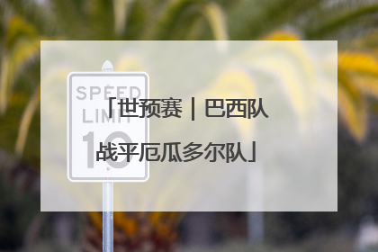 世预赛｜巴西队战平厄瓜多尔队
