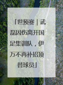 世预赛｜武磊因伤离开国足集训队，伊万不再补招顶替球员