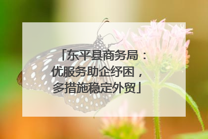 东平县商务局：优服务助企纾困，多措施稳定外贸