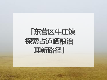 东营区牛庄镇探索占道晒粮治理新路径