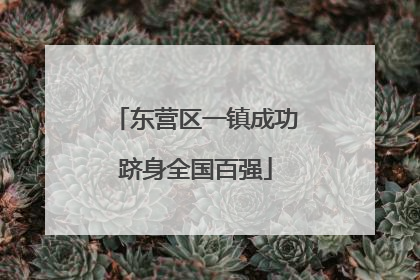 东营区一镇成功跻身全国百强