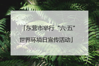 东营市举行“六·五”世界环境日宣传活动