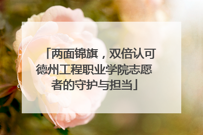 两面锦旗，双倍认可德州工程职业学院志愿者的守护与担当