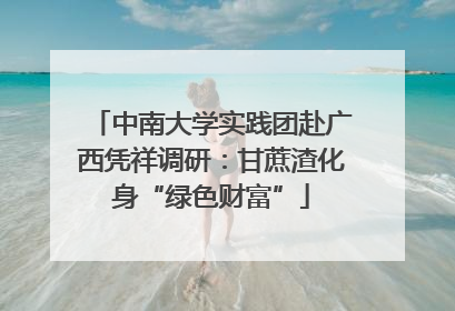 中南大学实践团赴广西凭祥调研：甘蔗渣化身“绿色财富”