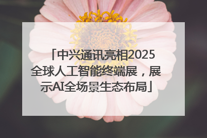 中兴通讯亮相2025全球人工智能终端展，展示AI全场景生态布局