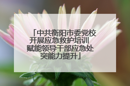 中共衡阳市委党校开展应急救护培训 赋能领导干部应急处突能力提升