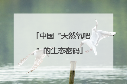 中国“天然氧吧”的生态密码