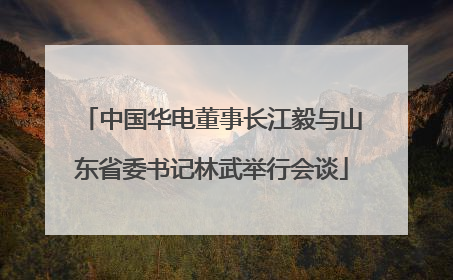 中国华电董事长江毅与山东省委书记林武举行会谈