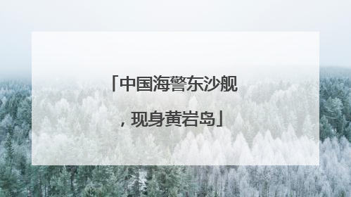 中国海警东沙舰，现身黄岩岛