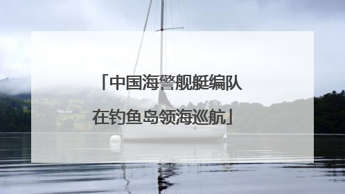 中国海警舰艇编队在钓鱼岛领海巡航