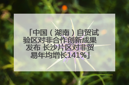 中国（湖南）自贸试验区对非合作创新成果发布 长沙片区对非贸易年均增长141%