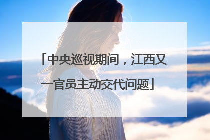中央巡视期间，江西又一官员主动交代问题