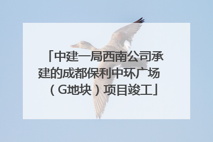 中建一局西南公司承建的成都保利中环广场（G地块）项目竣工