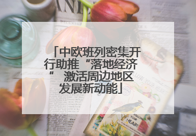 中欧班列密集开行助推“落地经济” 激活周边地区发展新动能