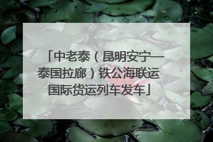 中老泰（昆明安宁—泰国拉廊）铁公海联运国际货运列车发车