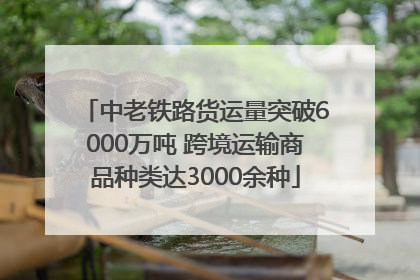 中老铁路货运量突破6000万吨 跨境运输商品种类达3000余种