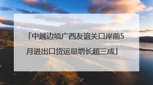 中越边境广西友谊关口岸前5月进出口货运量增长超三成