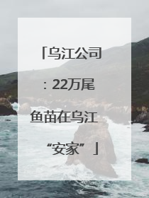 乌江公司：22万尾鱼苗在乌江“安家”