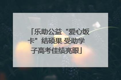 乐助公益“爱心饭卡”结硕果 受助学子高考佳绩亮眼