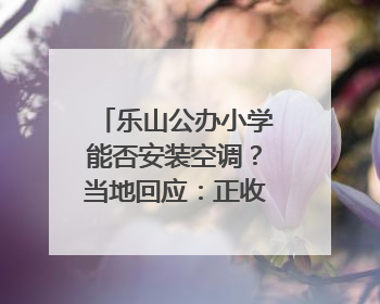 乐山公办小学能否安装空调？当地回应：正收集需求，部分中小学已启动安装｜云求助