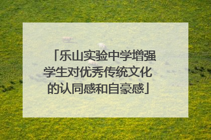 乐山实验中学增强学生对优秀传统文化的认同感和自豪感