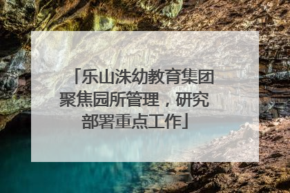 乐山洙幼教育集团聚焦园所管理，研究部署重点工作