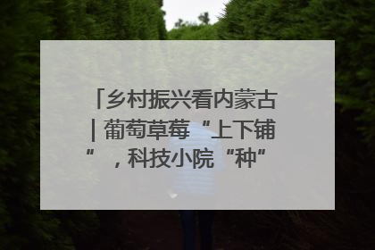 乡村振兴看内蒙古｜葡萄草莓“上下铺”，科技小院“种”出三倍效益