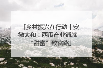乡村振兴在行动丨安徽太和：西瓜产业铺就“甜蜜”致富路