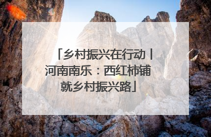乡村振兴在行动丨河南南乐：西红柿铺就乡村振兴路