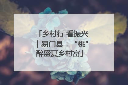 乡村行 看振兴｜易门县：“桃”醉盛夏乡村富