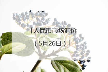 人民币市场汇价（5月26日）