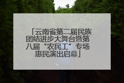 云南省第二届民族团结进步大舞台暨第八届“农民工”专场惠民演出启幕