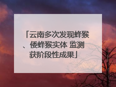 云南多次发现蜂猴、倭蜂猴实体 监测获阶段性成果