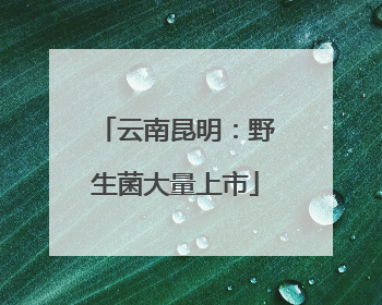 云南昆明：野生菌大量上市
