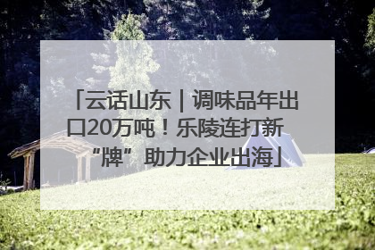 云话山东｜调味品年出口20万吨！乐陵连打新“牌”助力企业出海