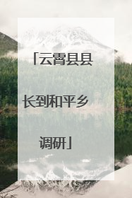 云霄县县长到和平乡调研