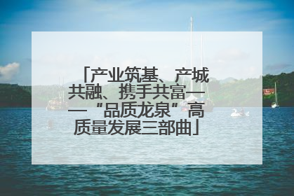 产业筑基、产城共融、携手共富——“品质龙泉”高质量发展三部曲