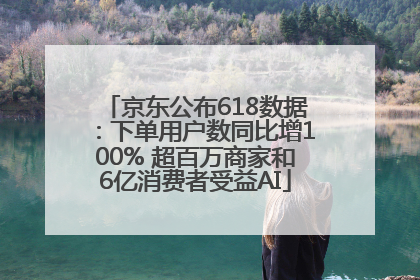 京东公布618数据：下单用户数同比增100% 超百万商家和6亿消费者受益AI