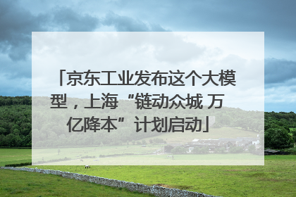 京东工业发布这个大模型，上海“链动众城 万亿降本”计划启动