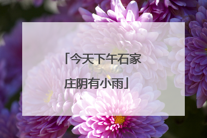 今天下午石家庄阴有小雨