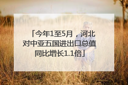 今年1至5月，河北对中亚五国进出口总值同比增长1.1倍
