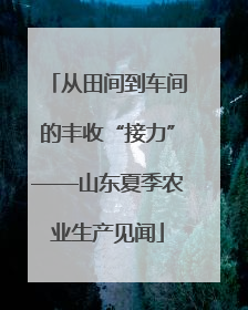 从田间到车间的丰收“接力”——山东夏季农业生产见闻
