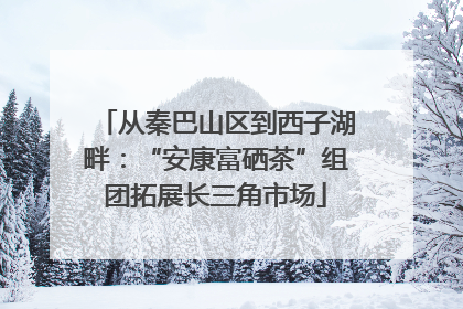从秦巴山区到西子湖畔：“安康富硒茶”组团拓展长三角市场