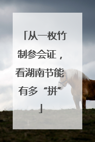 从一枚竹制参会证，看湖南节能有多“拼”