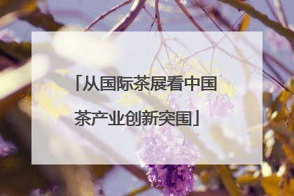 从国际茶展看中国茶产业创新突围