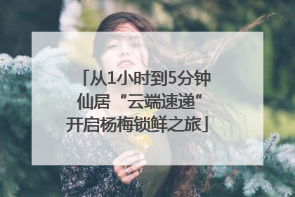 从1小时到5分钟 仙居“云端速递”开启杨梅锁鲜之旅