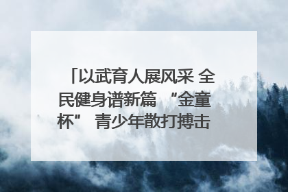 以武育人展风采 全民健身谱新篇 “金童杯” 青少年散打搏击邀请赛圆满落幕